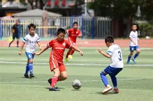 越南客车事,故致,万博体育官方网站,万博体育官方网站,体育博彩,万博体育平台,体育投注,体育赛事投注