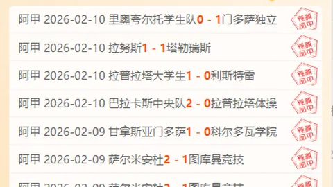 恐袭威胁导致纽伦堡狂欢节取消