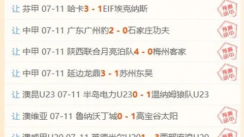 2026年中北美杯赛事攻略：精彩比分解析与胜负